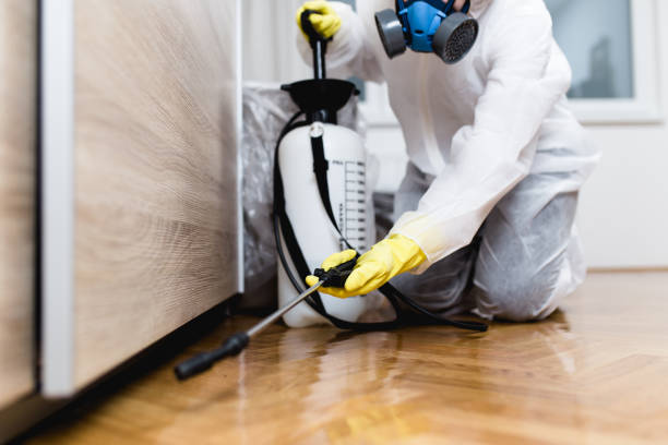 Best Residential Pest Control  in Lewistown, IL