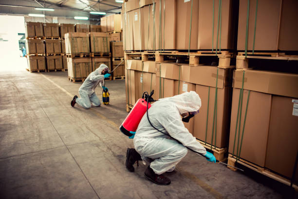 Best Exterminator Services  in Lewistown, IL