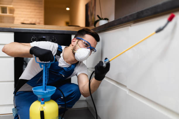 Best Cockroach Control Services  in Lewistown, IL