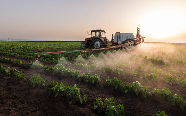 Best Wildlife Control Services  in Lewistown, IL