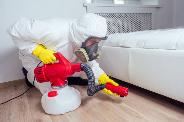 Best Insect Control  in Lewistown, IL