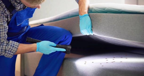 Best Ant Control Services  in Lewistown, IL