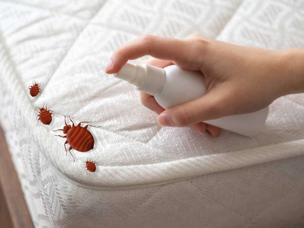 Best Wasp Removal Services  in Lewistown, IL