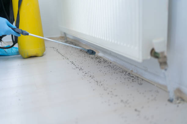 Best Ant Control Services  in Lewistown, IL
