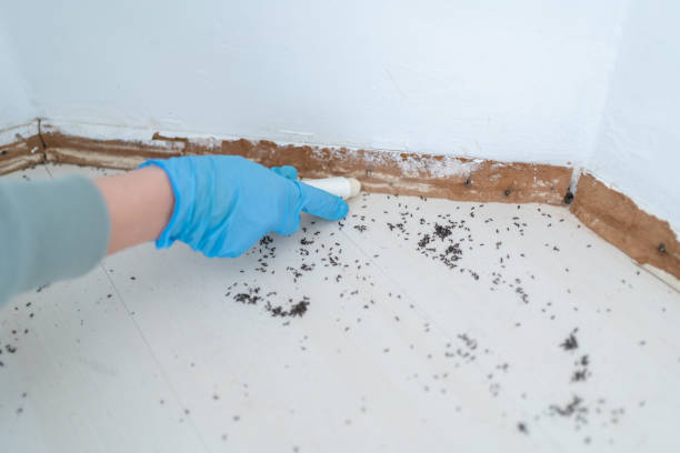 Best Exterminator Services  in Lewistown, IL