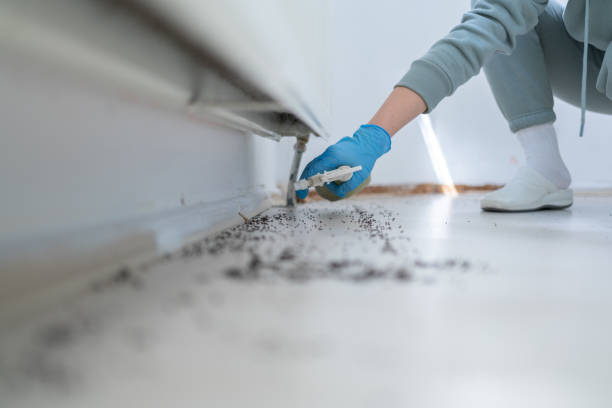 Best Pest Control Treatment  in Lewistown, IL