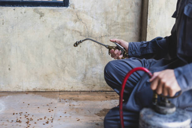 Best Best Pest Control Companies  in Lewistown, IL